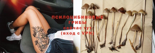 прущий лед Бородино