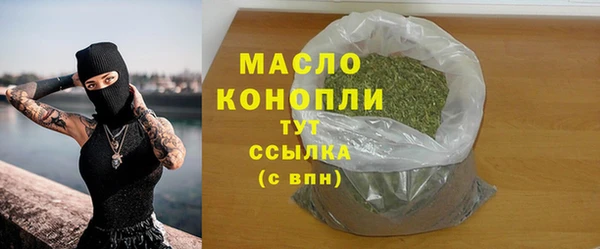 прущий лед Бородино