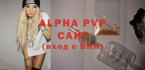 прущий лед Бородино