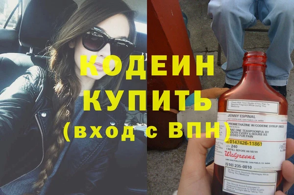 прущий лед Бородино