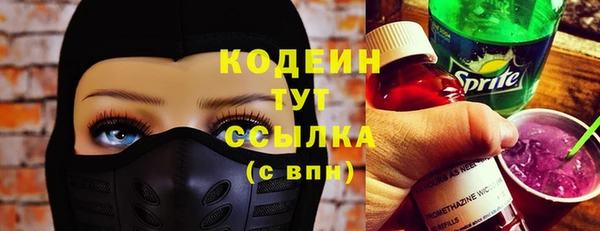 прущий лед Бородино